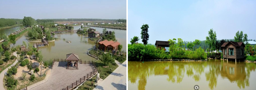 1651221207197439.jpg 1651221207197439.jpg