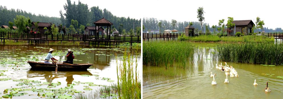 1651221234199352.jpg 1651221234199352.jpg